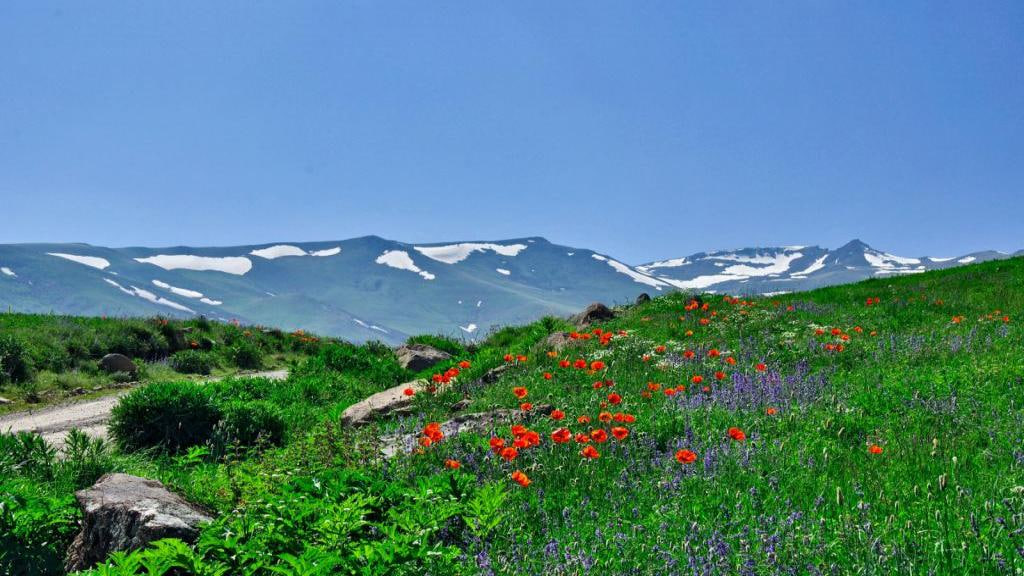 همه چیز برای سفر به اردبیل: راهنمای کامل سفر به خنک‌ترین شهر ایران!