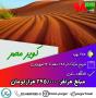 تور رویایی کویر مصر با آژانس پرگار