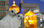 تور مشهد نوروز 1400 آژانس پریشن سیر
