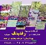 تور رفتینگ آژانس سفر سیران دنیا