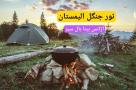 تور یکروزه جنگل الیمستان در شمال آژانس بیتا بال
